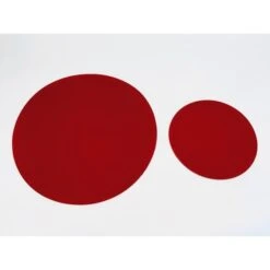 42" Diameter Circular DrainProtector™ II Reversible Drain Seal -Wessco Shop 37bpu9 2 1