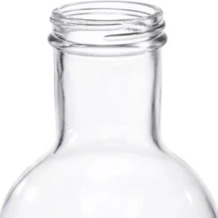 32 Oz. Clear Glass Stout Bottle, 48mm 48-405, 12/cs -Wessco Shop s a0032 200c1c 4